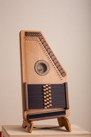d'Aigle Autoharp Beginners Package Complete Package, More Coming Soon!
