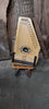 Customized Wildwood Flower Autoharp (certified used)