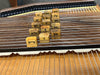 Walnut/Spruce 15 Bar GD Diatonic Cascade d'Aigle 'harp 3231939WS