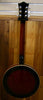 6string Banjo Guitar